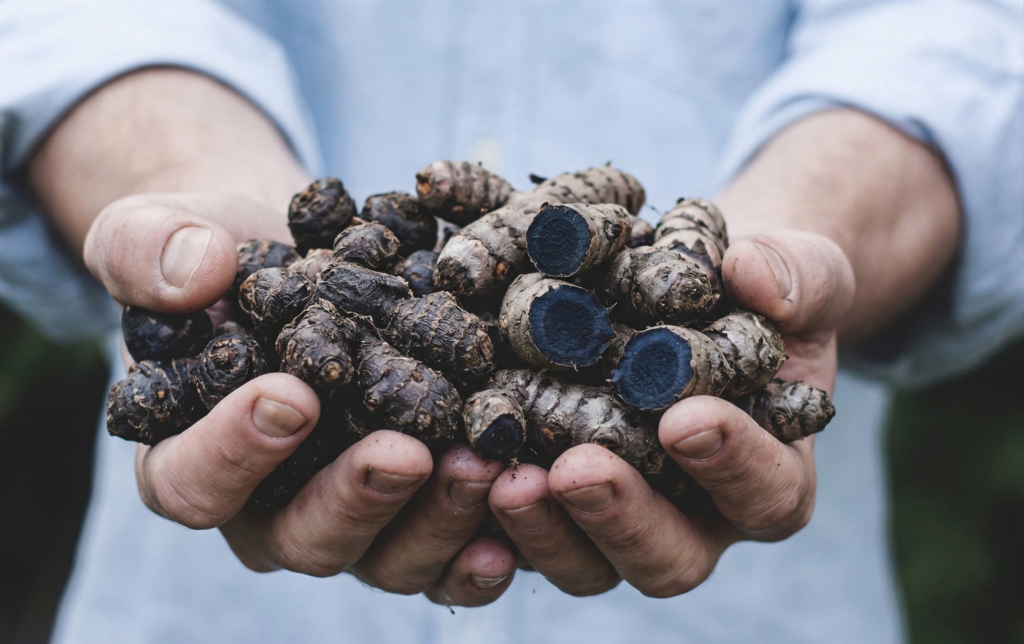 gemini generated image 18geiq18geiq18ge