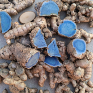 Home gemini generated image mgt2emgt2emgt2em