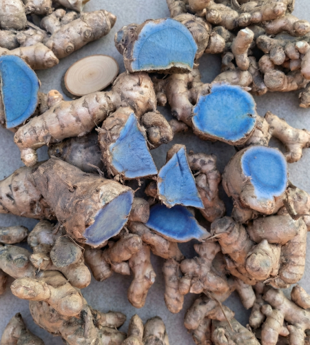 gemini generated image mgt2emgt2emgt2em